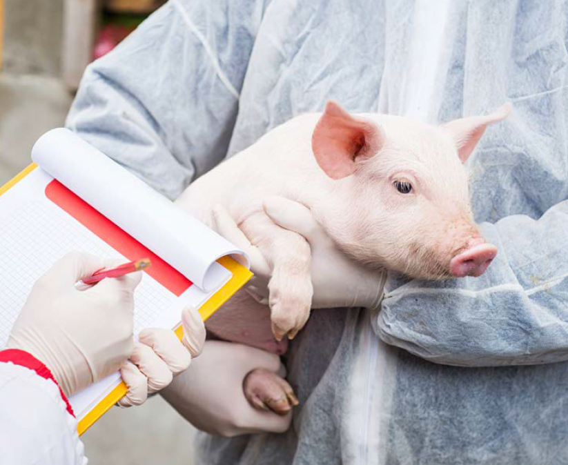 Screenshot 2025-10-15 200113 Screenshot 2025-10-15 200113